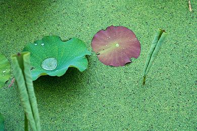 动作恋爱游戏《Eternights》预告 明年年初发售